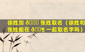 徐姓加 🍁 张姓取名（徐姓和张姓能在 🐶 一起取名字吗）